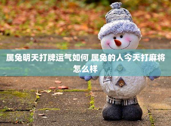 属兔明天打牌运气如何 属兔的人今天打麻将怎么样
