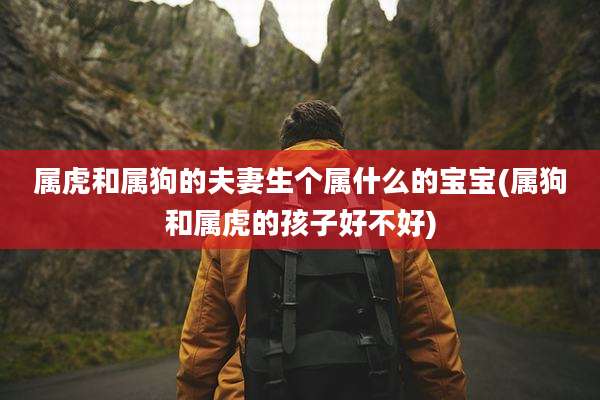 属虎和属狗的夫妻生个属什么的宝宝(属狗和属虎的孩子好不好)