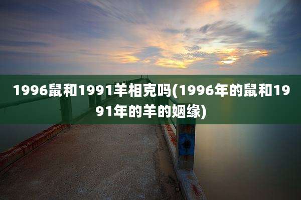 1996鼠和1991羊相克吗(1996年的鼠和1991年的羊的姻缘)