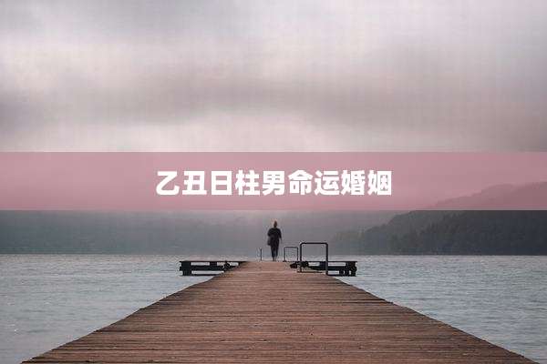 乙丑日柱男命运婚姻