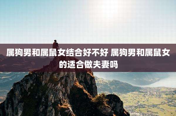属狗男和属鼠女结合好不好 属狗男和属鼠女的适合做夫妻吗