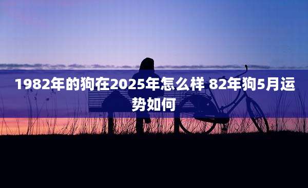 1982年的狗在2025年怎么样 82年狗5月运势如何
