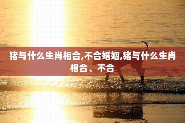 猪与什么生肖相合,不合婚姻,猪与什么生肖相合、不合