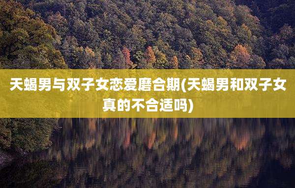 天蝎男与双子女恋爱磨合期(天蝎男和双子女真的不合适吗)