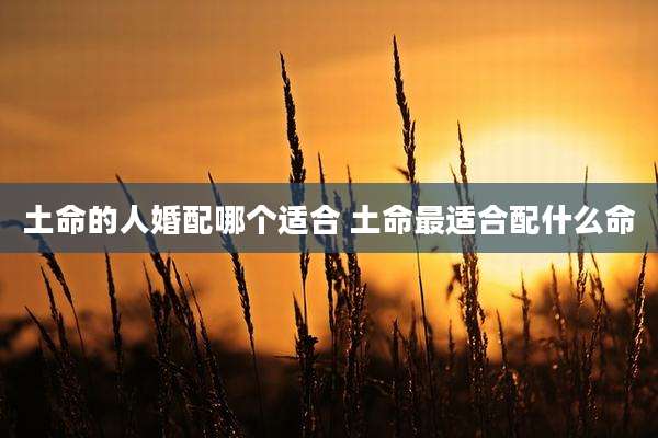 土命的人婚配哪个适合 土命最适合配什么命