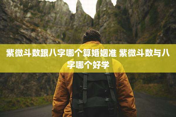 紫微斗数跟八字哪个算婚姻准 紫微斗数与八字哪个好学