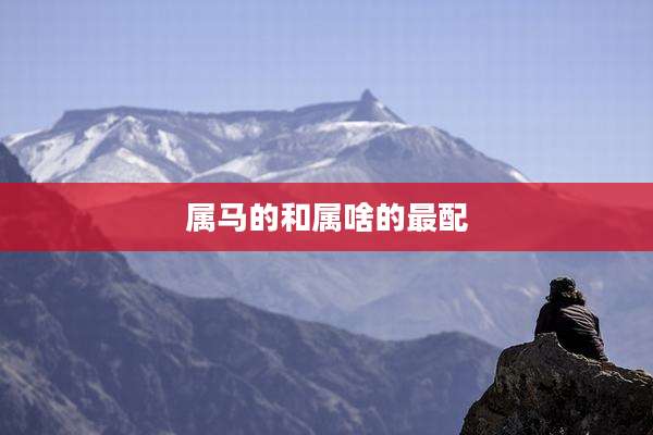 属马的和属啥的最配