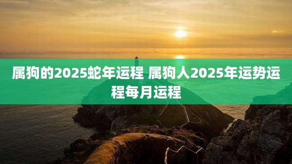 属狗的2025蛇年运程 属狗人2025年运势运程每月运程