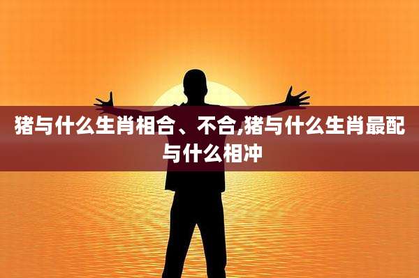 猪与什么生肖相合、不合,猪与什么生肖最配 与什么相冲