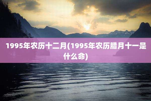 1995年农历十二月(1995年农历腊月十一是什么命)