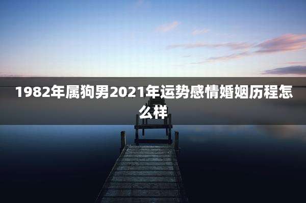 1982年属狗男2021年运势感情婚姻历程怎么样