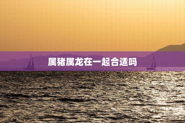属猪属龙在一起合适吗