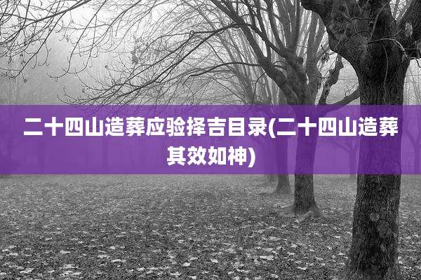 二十四山造葬应验择吉目录(二十四山造葬其效如神)