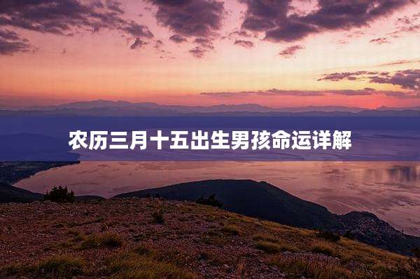 农历三月十五出生男孩命运详解