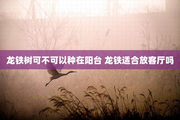 龙铁树可不可以种在阳台 龙铁适合放客厅吗