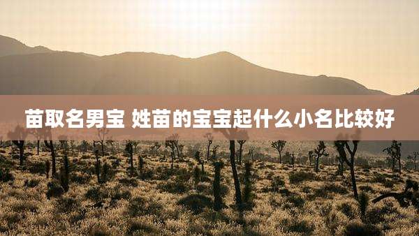 苗取名男宝 姓苗的宝宝起什么小名比较好