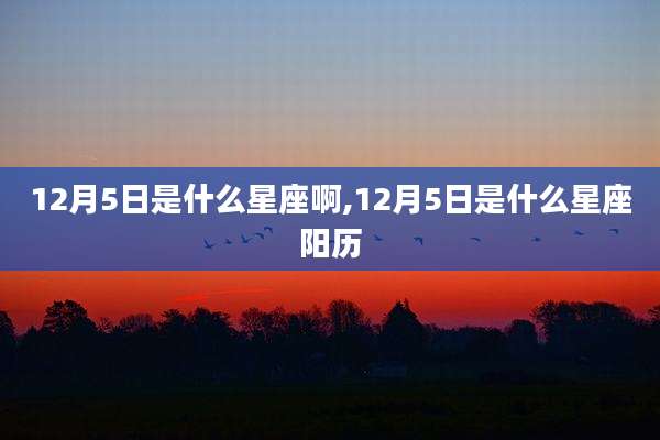 12月5日是什么星座啊,12月5日是什么星座阳历