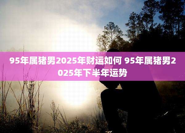 95年属猪男2025年财运如何 95年属猪男2025年下半年运势