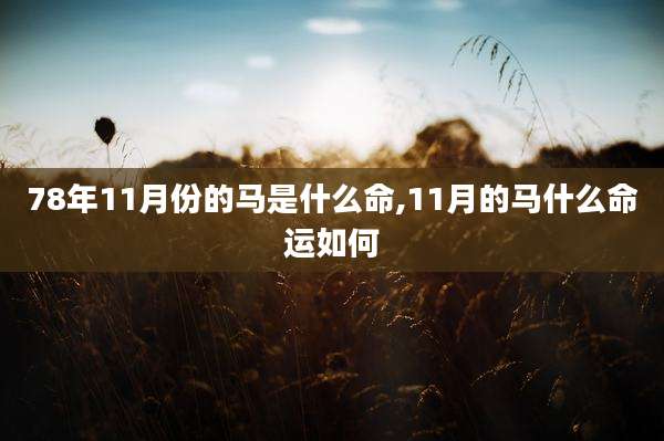 78年11月份的马是什么命,11月的马什么命运如何