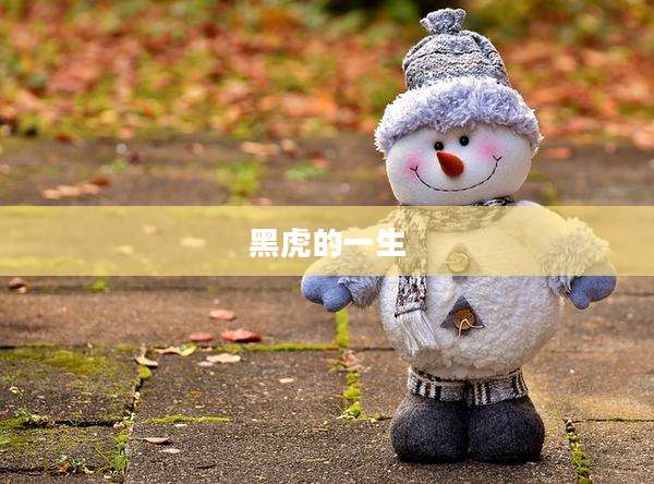 黑虎的一生