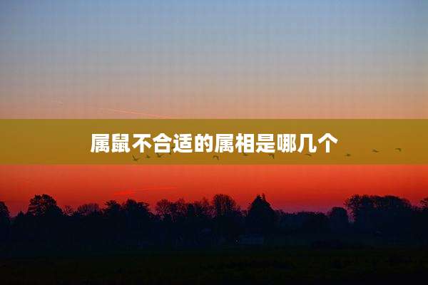 属鼠不合适的属相是哪几个