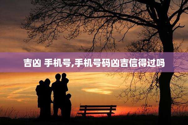 吉凶 手机号,手机号码凶吉信得过吗