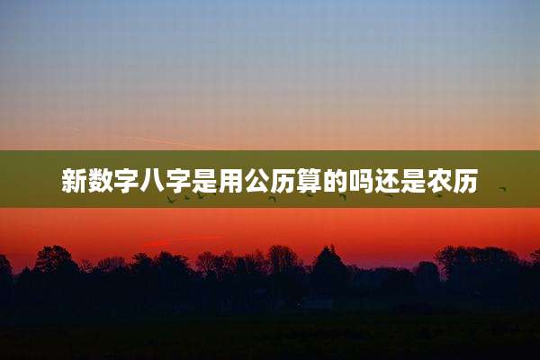 新数字八字是用公历算的吗还是农历