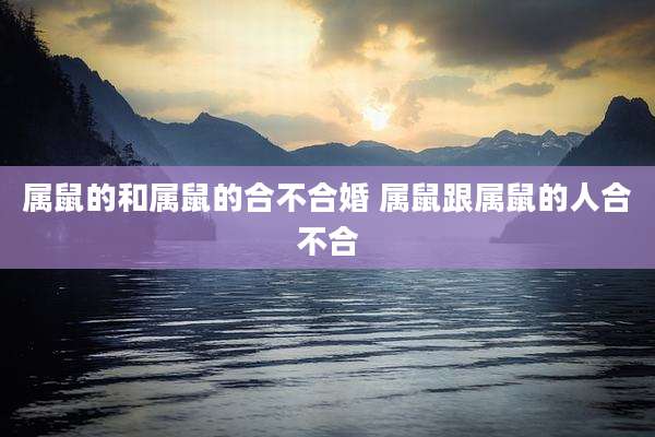 属鼠的和属鼠的合不合婚 属鼠跟属鼠的人合不合