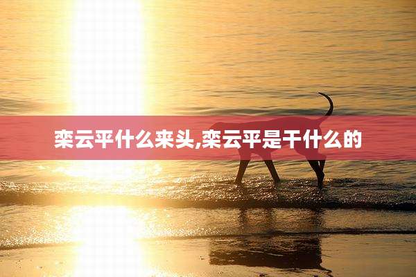 栾云平什么来头,栾云平是干什么的