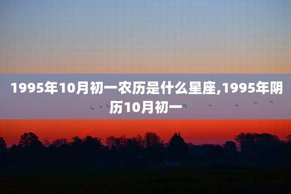 1995年10月初一农历是什么星座,1995年阴历10月初一
