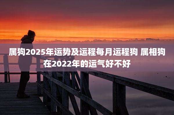 属狗2025年运势及运程每月运程狗 属相狗在2022年的运气好不好