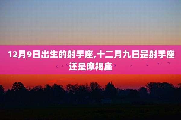 12月9日出生的射手座,十二月九日是射手座还是摩羯座