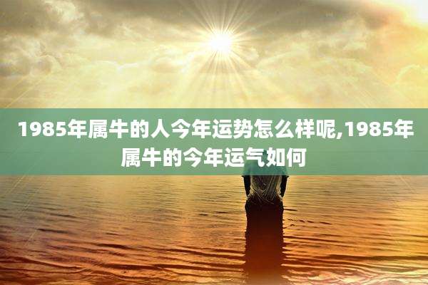 1985年属牛的人今年运势怎么样呢,1985年属牛的今年运气如何