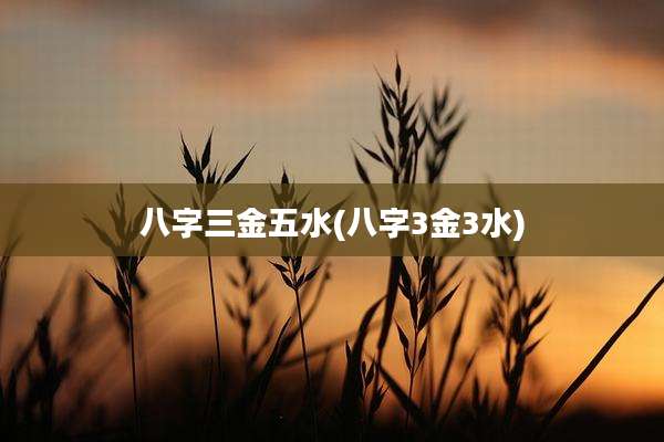 八字三金五水(八字3金3水)