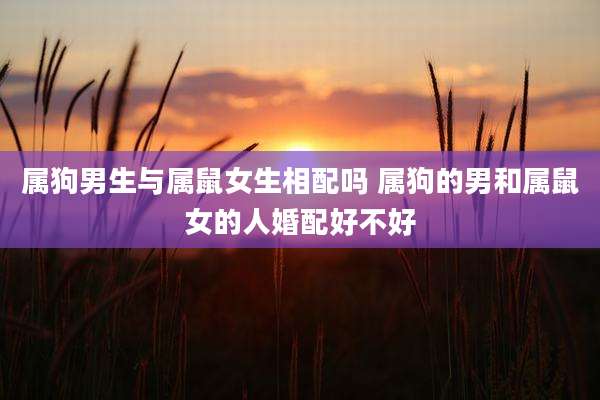 属狗男生与属鼠女生相配吗 属狗的男和属鼠女的人婚配好不好
