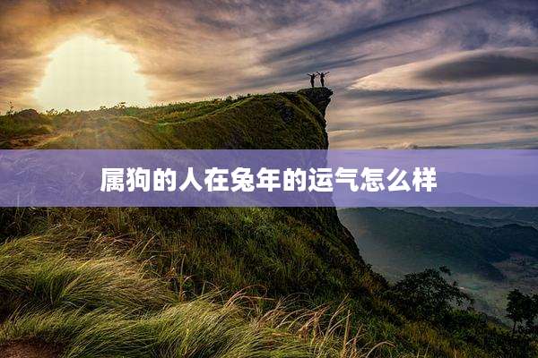 属狗的人在兔年的运气怎么样