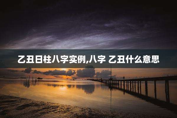 乙丑日柱八字实例,八字 乙丑什么意思