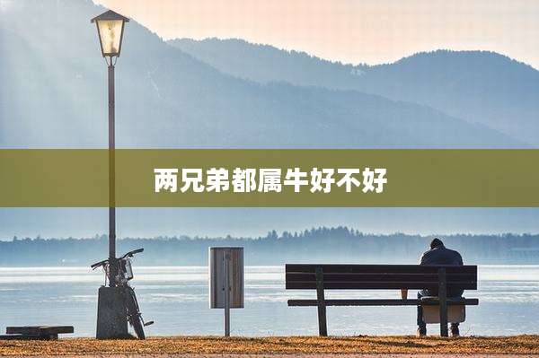 两兄弟都属牛好不好