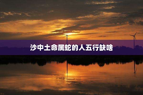 沙中土命属蛇的人五行缺啥