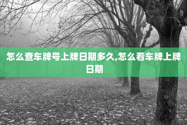 怎么查车牌号上牌日期多久,怎么看车牌上牌日期