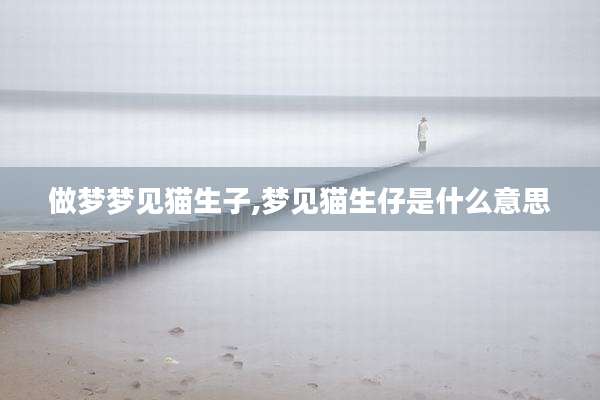 做梦梦见猫生子,梦见猫生仔是什么意思