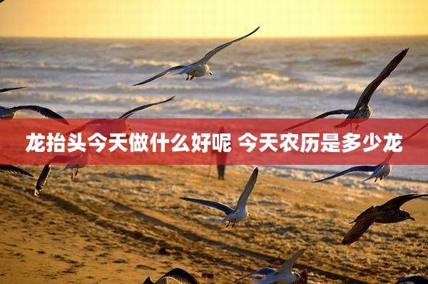 龙抬头今天做什么好呢 今天农历是多少龙