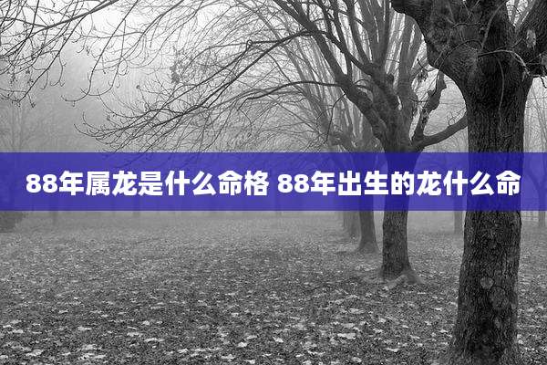 88年属龙是什么命格 88年出生的龙什么命