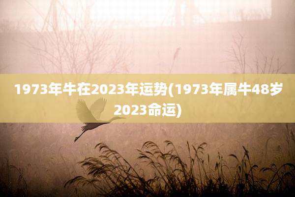 1973年牛在2023年运势(1973年属牛48岁2023命运)