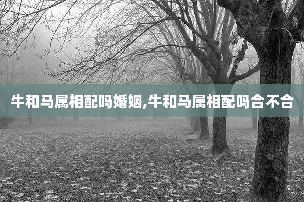 牛和马属相配吗婚姻,牛和马属相配吗合不合