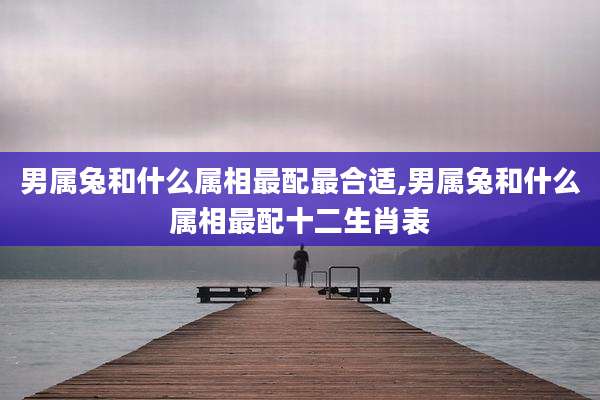 男属兔和什么属相最配最合适,男属兔和什么属相最配十二生肖表