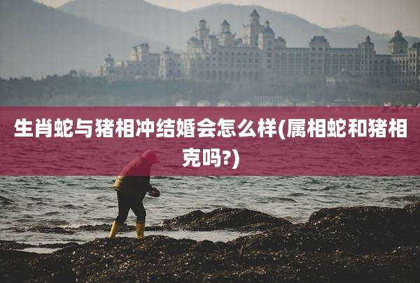 生肖蛇与猪相冲结婚会怎么样(属相蛇和猪相克吗?)