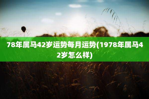 78年属马42岁运势每月运势(1978年属马42岁怎么样)