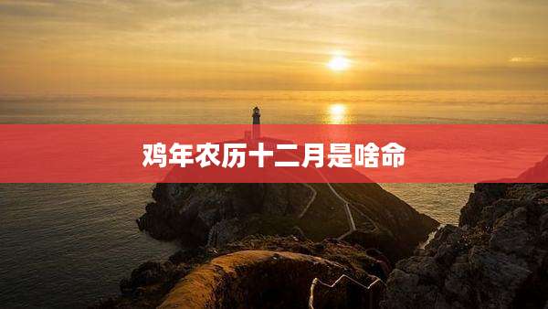 鸡年农历十二月是啥命