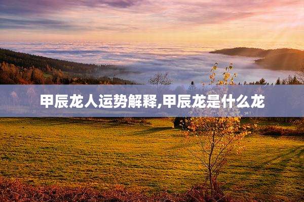 甲辰龙人运势解释,甲辰龙是什么龙